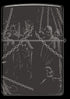 Zippo vžigalnik 46139 Skull King